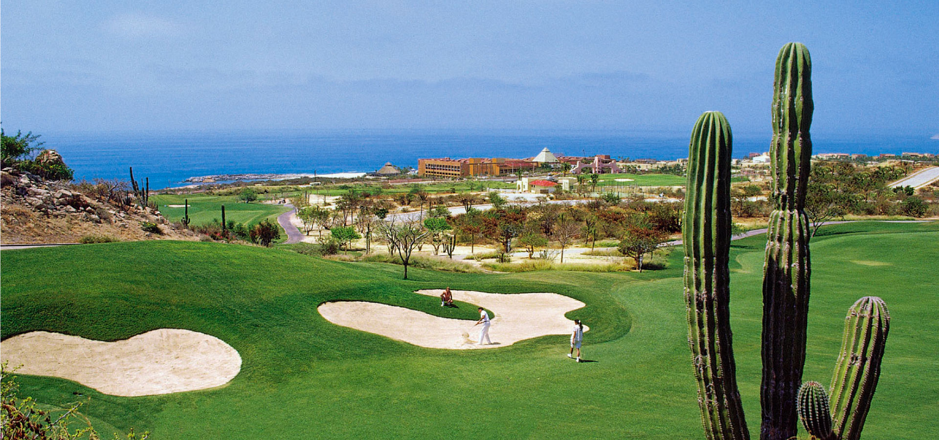 Royal sports Royal Passover