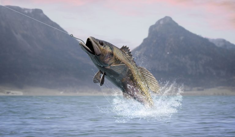 Rendering of a largemouth bass jumping out of the water
